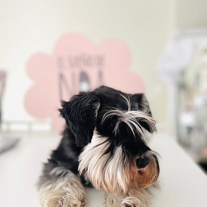 Pulsera Kika 🐾